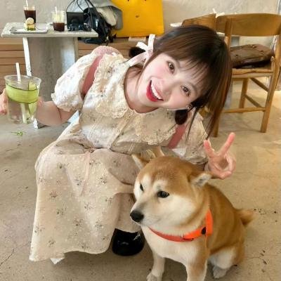 良缘再缔